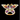 10K Gold Ring - Mark II Dazzling Jade